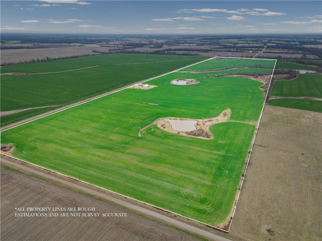 Listing Photo MLS #HMS2604132