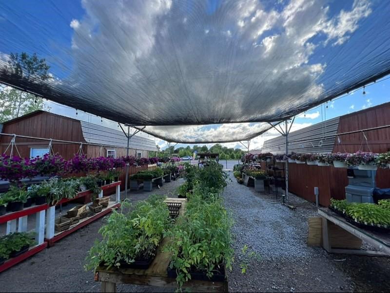 Listing Photo MLS #HMS2604928