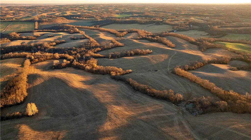 Listing Photo MLS #HMS2605766