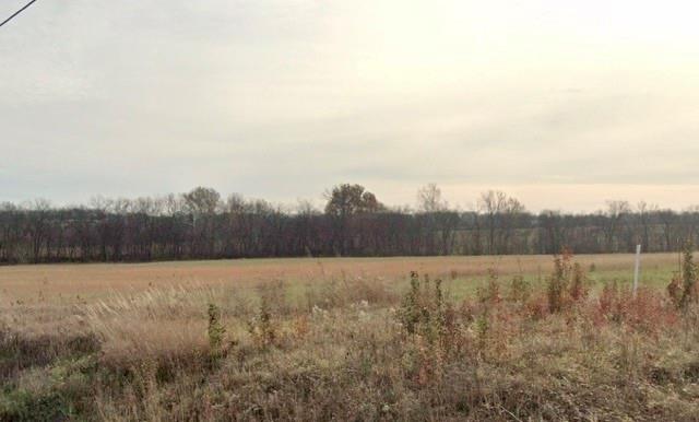 Listing Photo MLS #HMS2606456