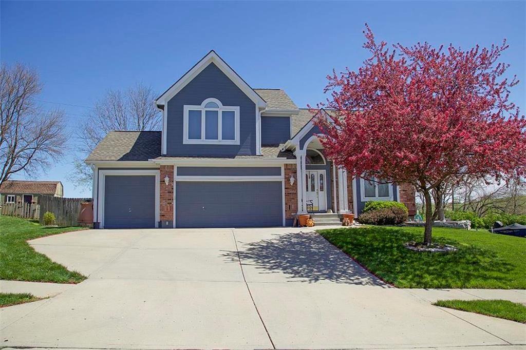 Listing Photo MLS #HMS2606504