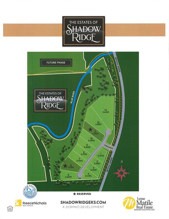 Listing Photo MLS #HMS2609183