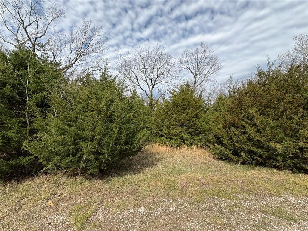 Listing Photo MLS #HMS2610088