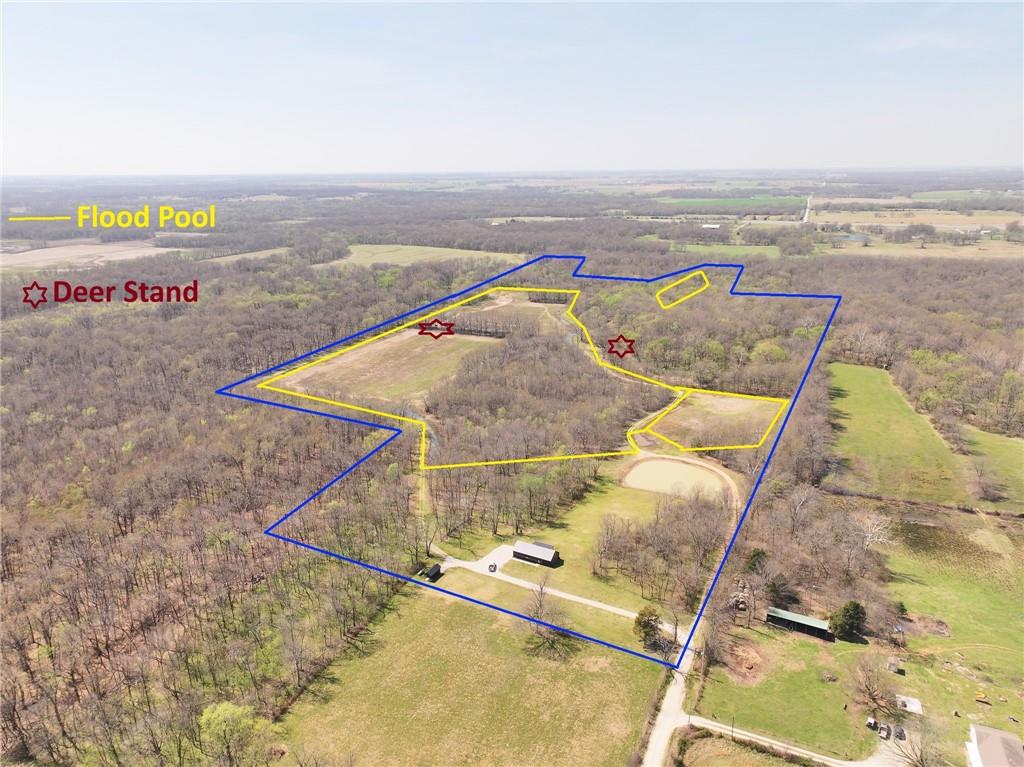 Listing Photo MLS #HMS2611997