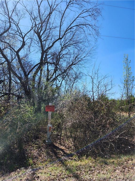 Listing Photo MLS #HMS2612885