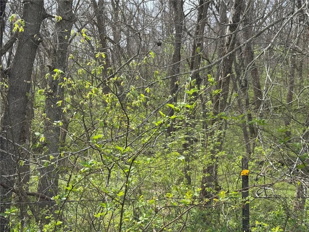 Listing Photo MLS #HMS2612931