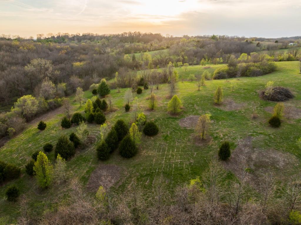 Listing Photo MLS #HMS2613853