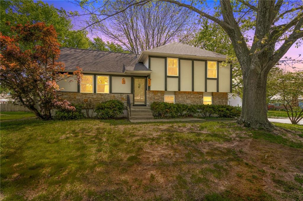 Listing Photo MLS #HMS2614925