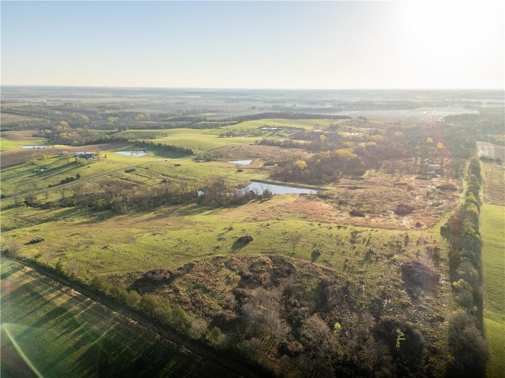 Listing Photo MLS #HMS2615262