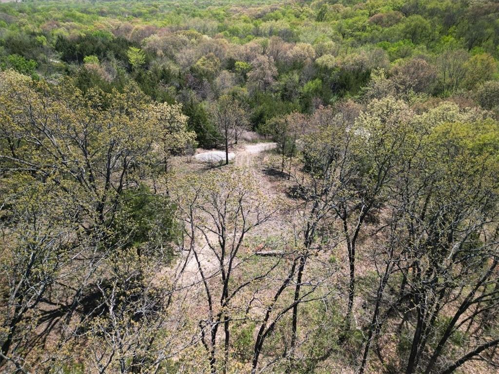 Listing Photo MLS #HMS2615455