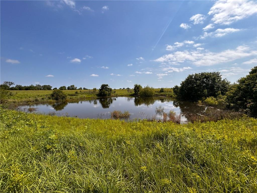 Listing Photo MLS #HMS2615510