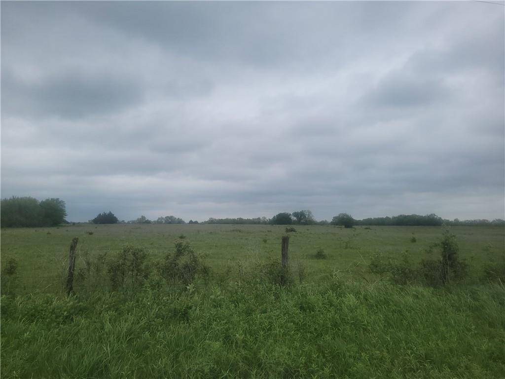 Listing Photo MLS #HMS2615677