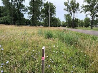 Listing Photo MLS #HMS2615769