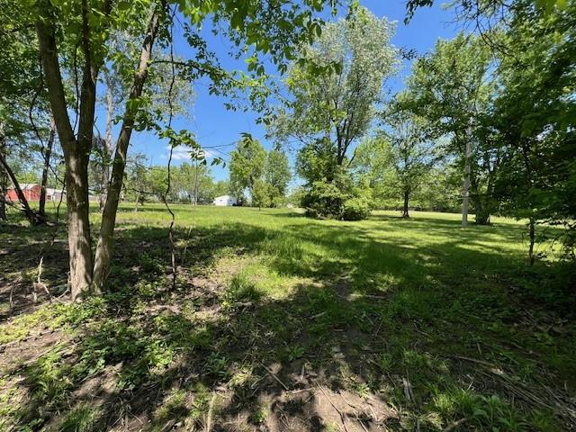 Listing Photo MLS #HMS2615939