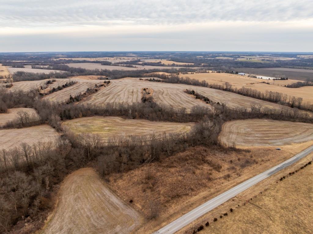 Listing Photo MLS #HMS2616782