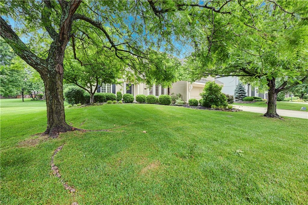 Listing Photo MLS #HMS2619525