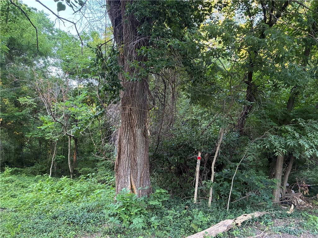 Listing Photo MLS #HMS2623299