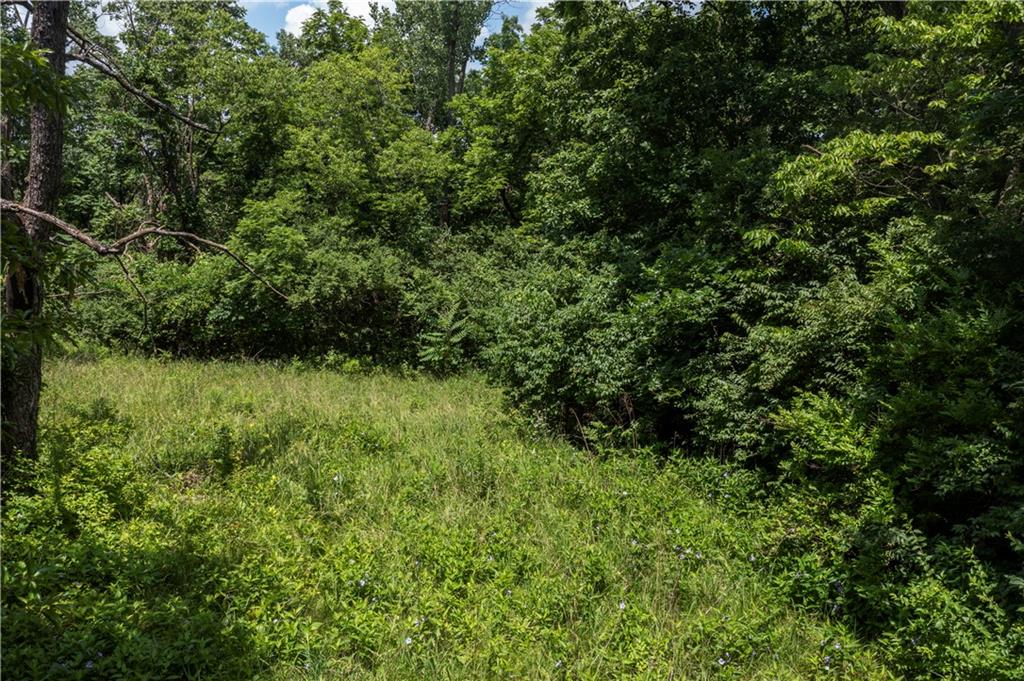 Listing Photo MLS #HMS2623455