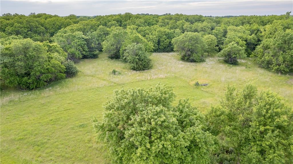 Listing Photo MLS #HMS2623538