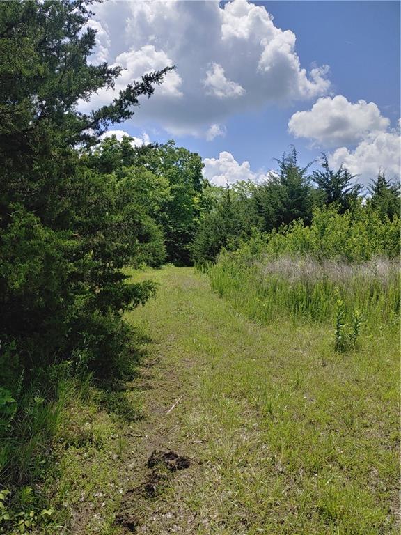 Listing Photo MLS #HMS2623656