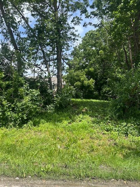Listing Photo MLS #HMS2624249