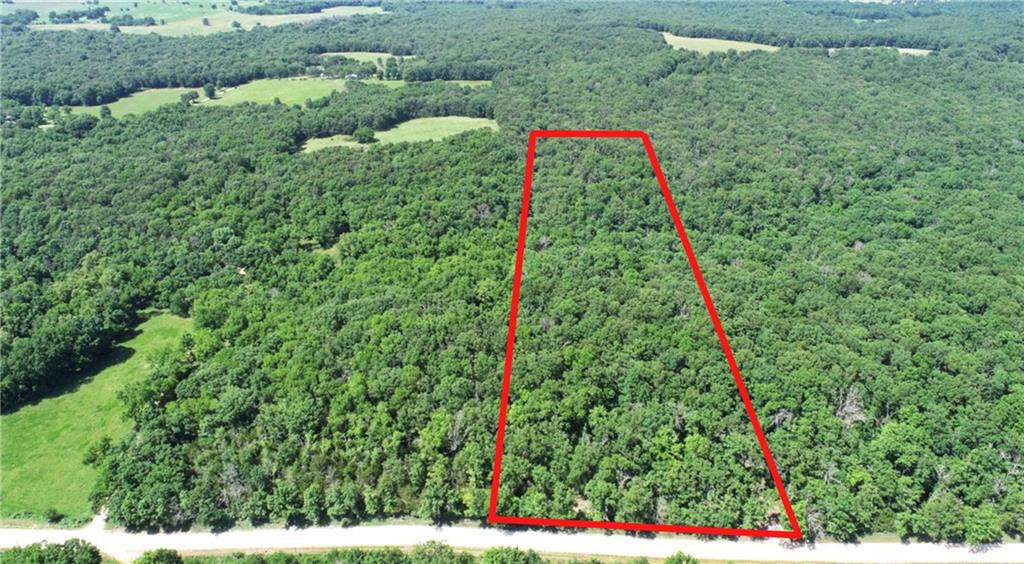 Listing Photo MLS #HMS2624448