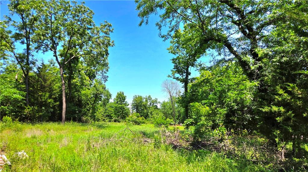 Listing Photo MLS #HMS2624453