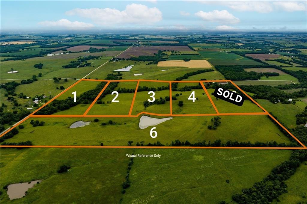 Listing Photo MLS #HMS2624826