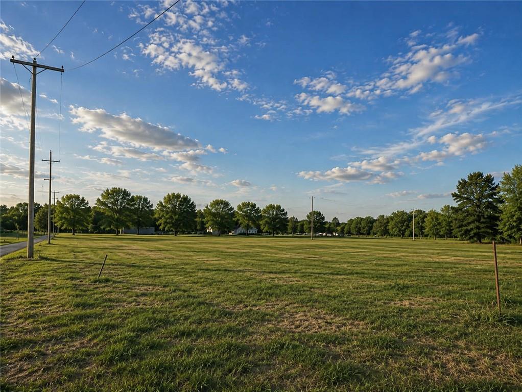 Listing Photo MLS #HMS2624978