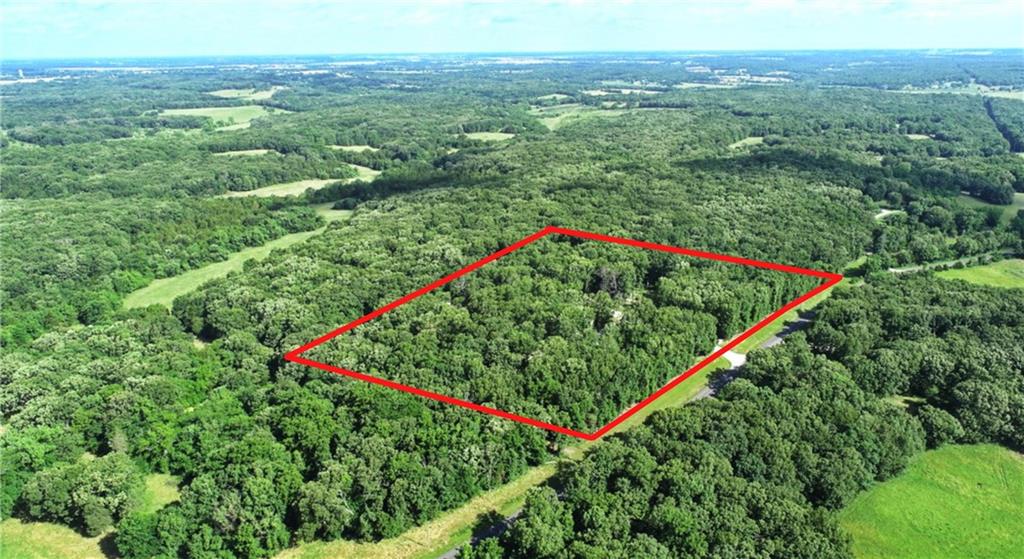 Listing Photo MLS #HMS2626480