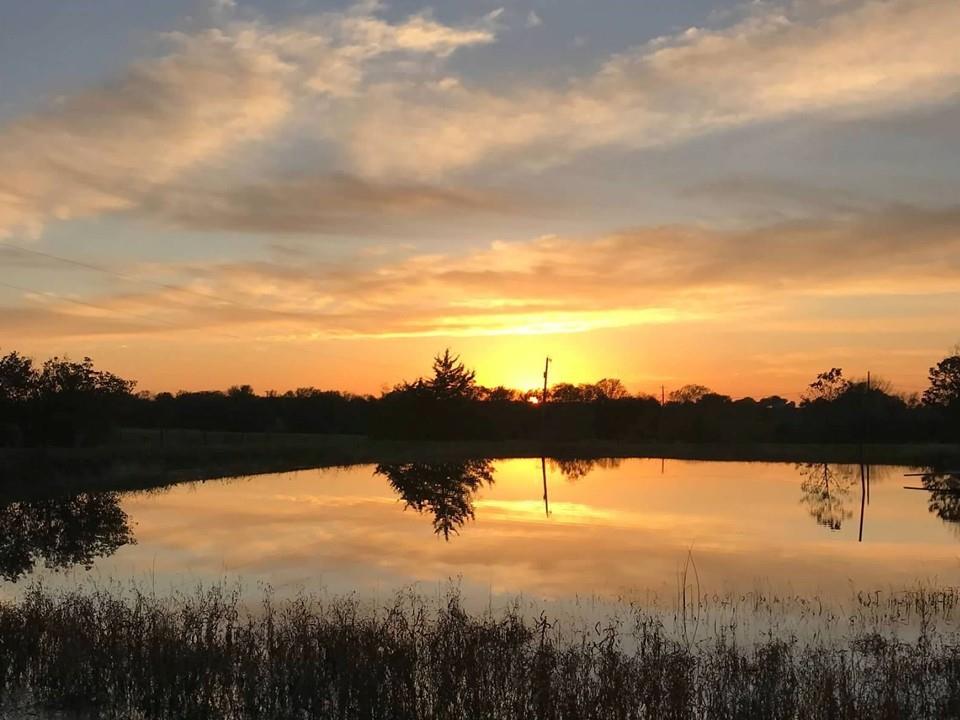 Listing Photo MLS #HMS2626909