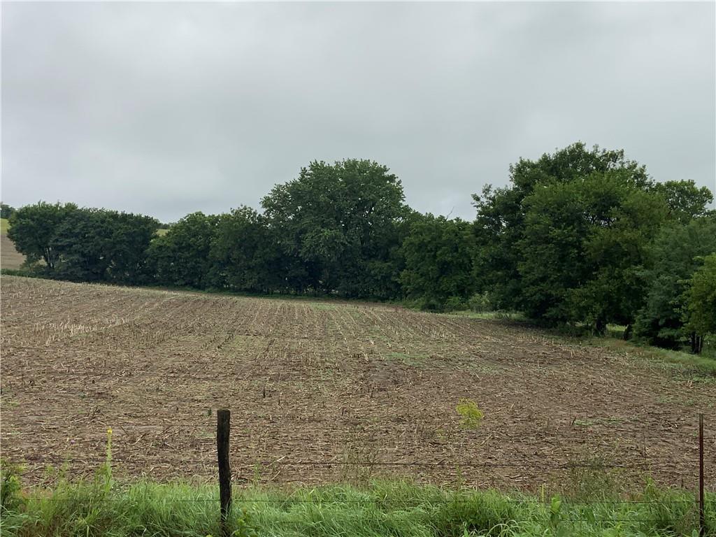 Listing Photo MLS #HMS2628124