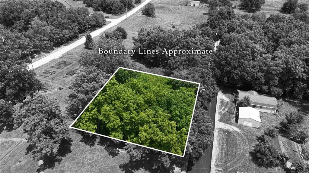 Listing Photo MLS #HMS2628156