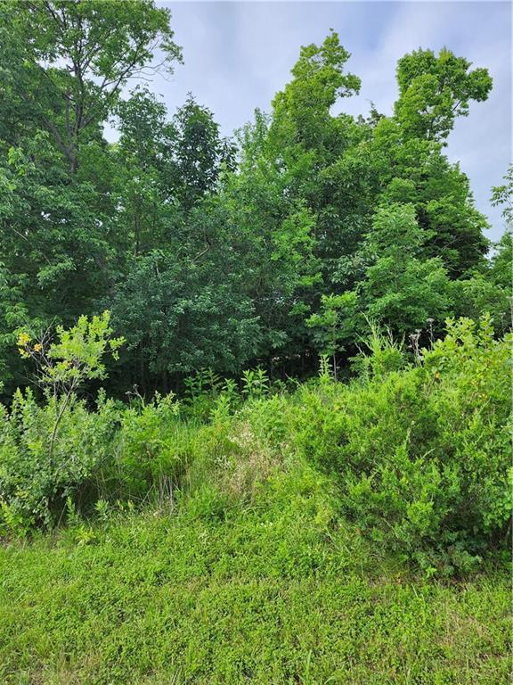 Listing Photo MLS #HMS2628558