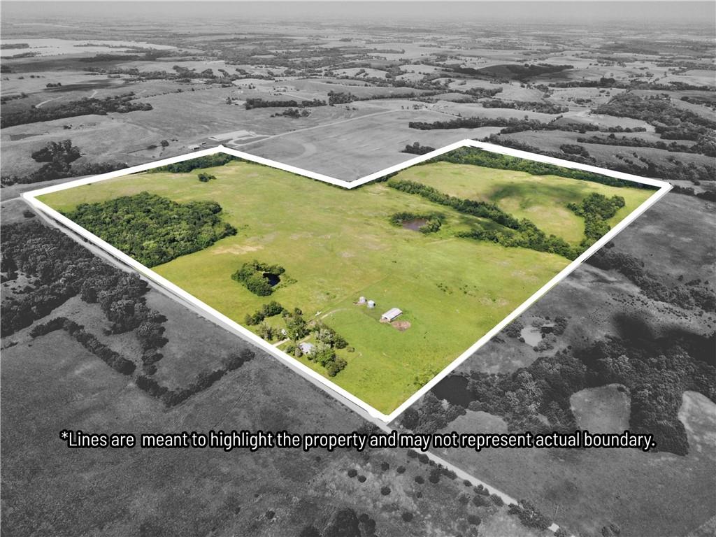 Listing Photo MLS #HMS2628795