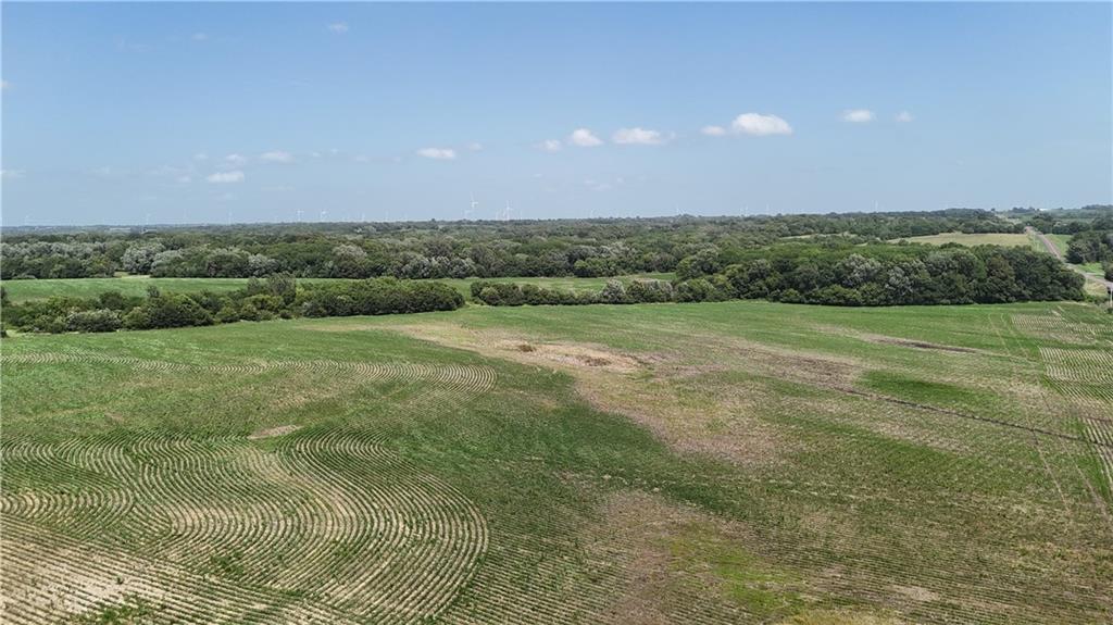 Listing Photo MLS #HMS2628810