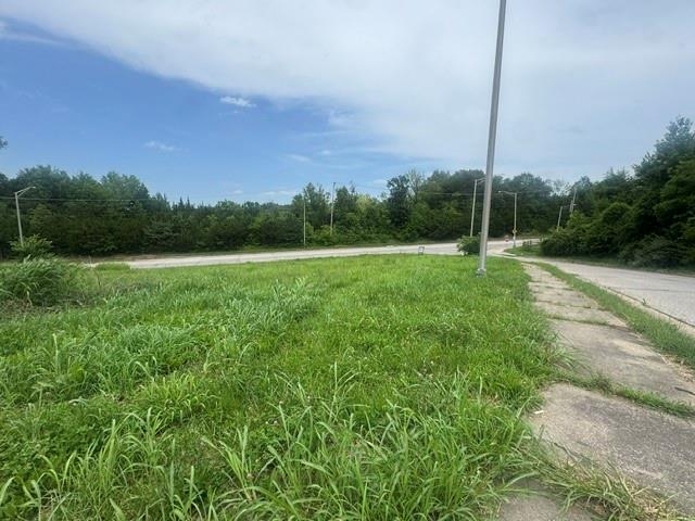 Listing Photo MLS #HMS2628856