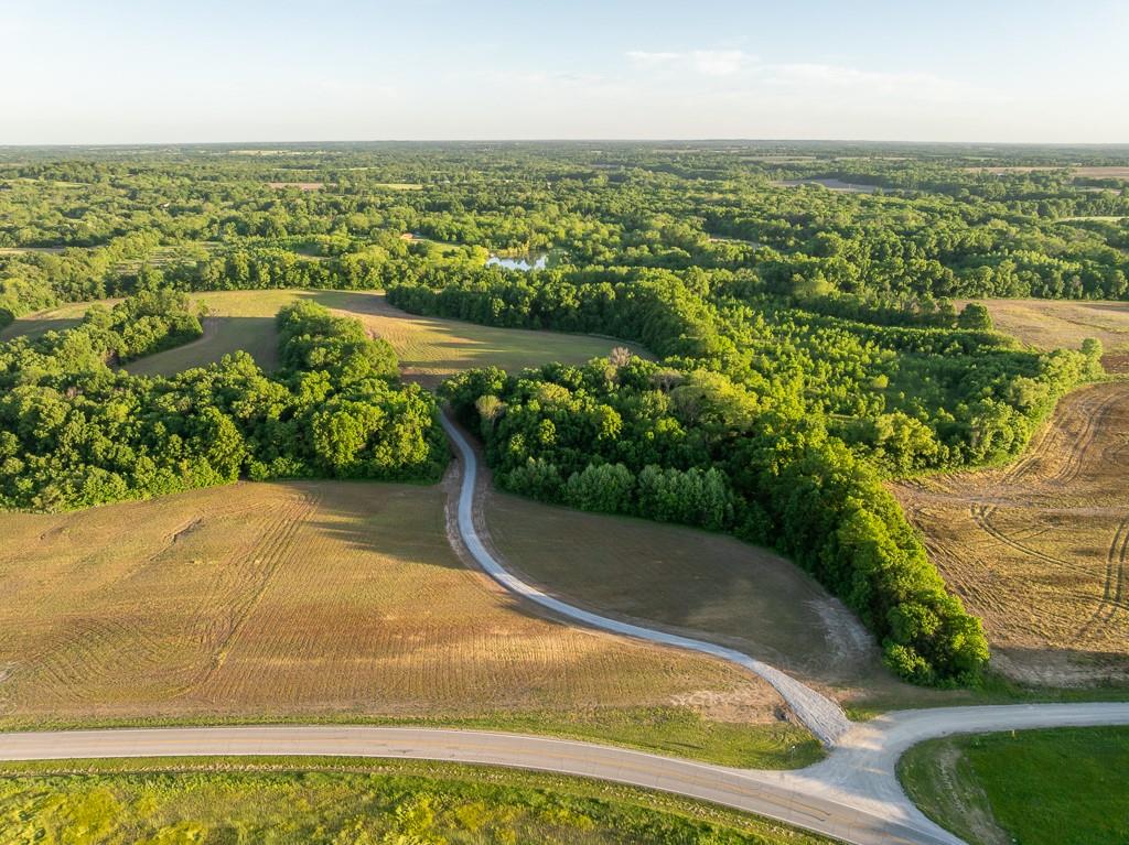 Listing Photo MLS #HMS2629324