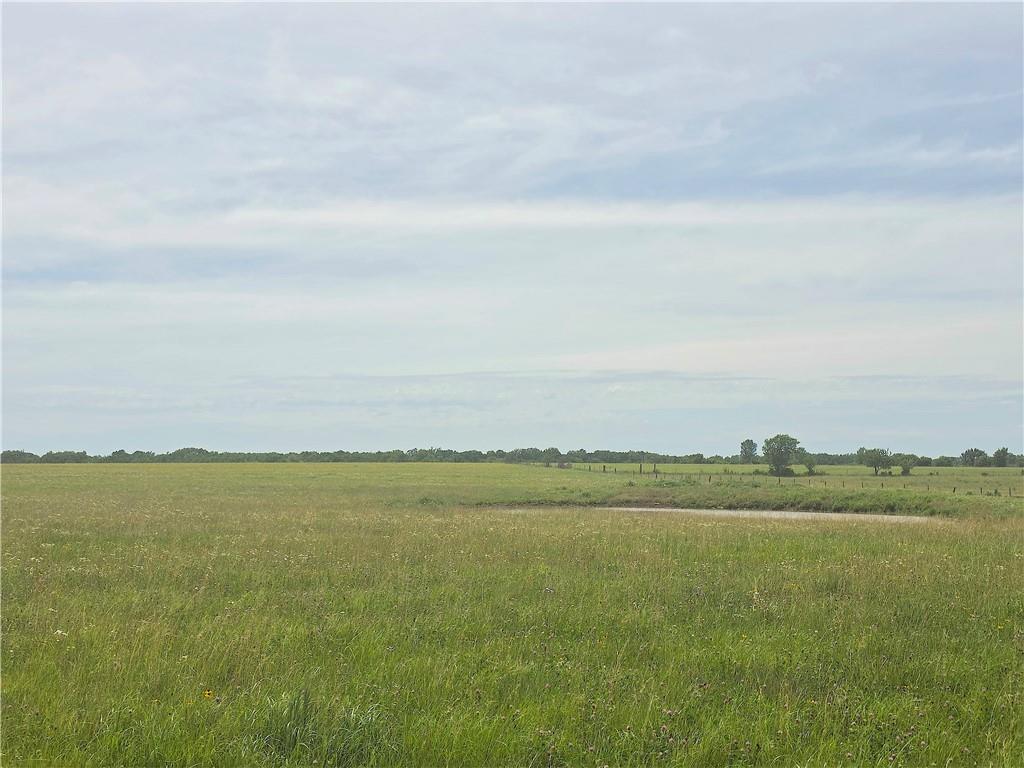 Listing Photo MLS #HMS2629638