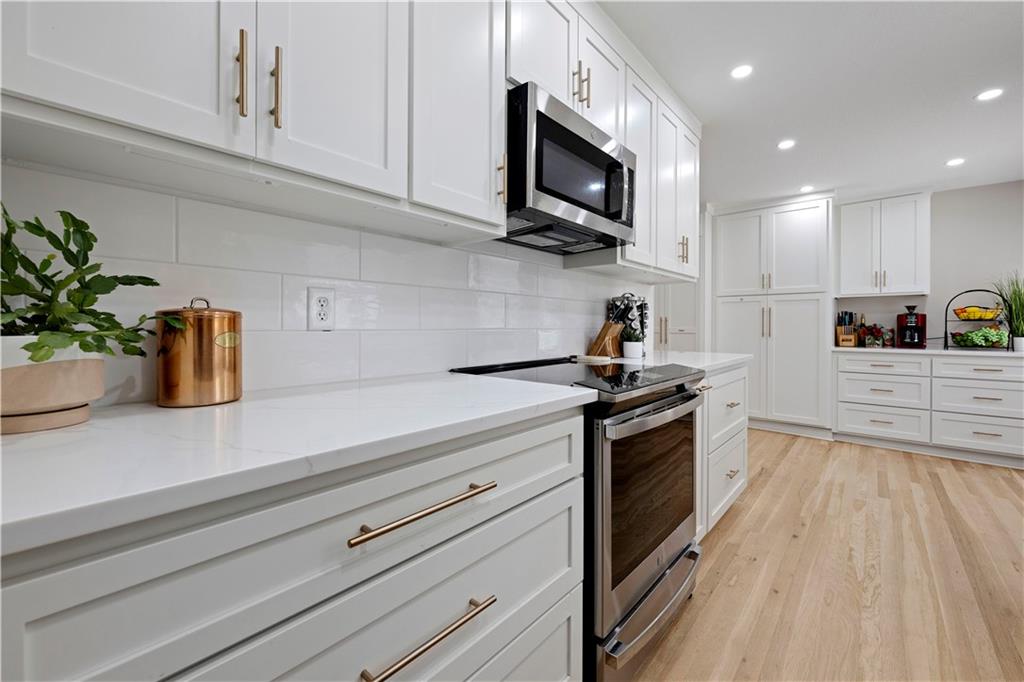 Listing Photo MLS #HMS2629769