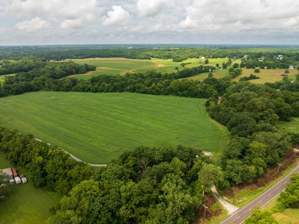 Listing Photo MLS #HMS2631837