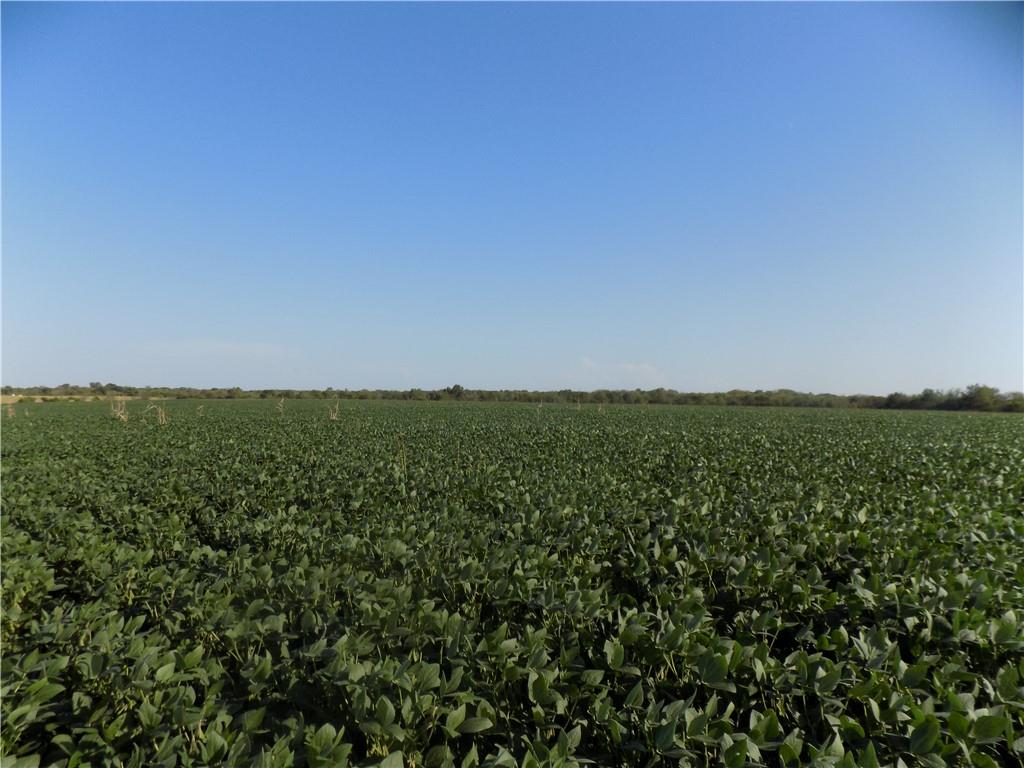 Listing Photo MLS #HMS2632910