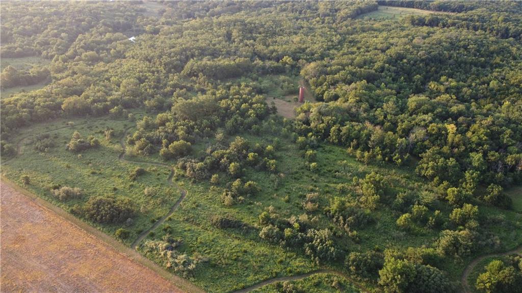 Listing Photo MLS #HMS2637608
