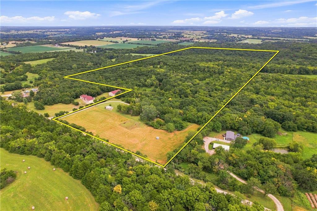 Listing Photo MLS #HMS2638228