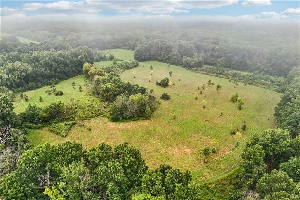 Listing Photo MLS #HMS2638791