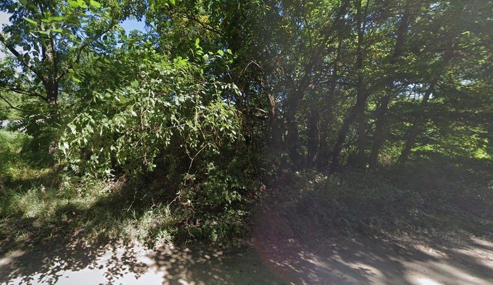 Listing Photo MLS #HMS2639849