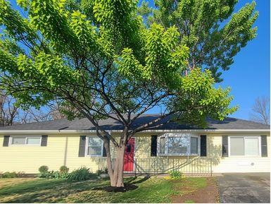 Listing Photo MLS #HMS2640900
