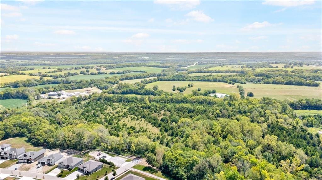 Listing Photo MLS #HMS2641076