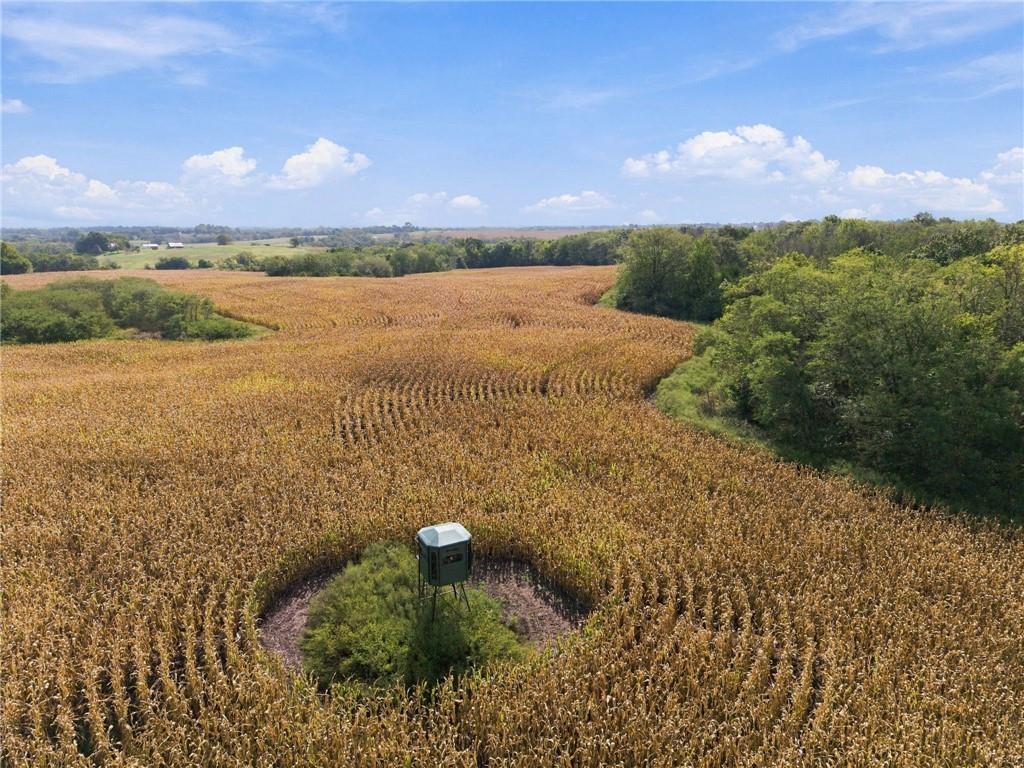 Listing Photo MLS #HMS2641214