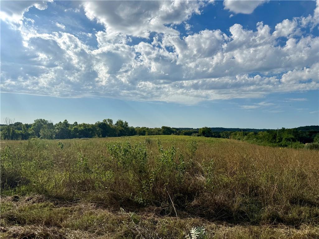Listing Photo MLS #HMS2641515